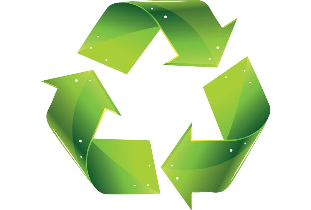 Ashprington proposed Climate & Ecological Emergency Declaration