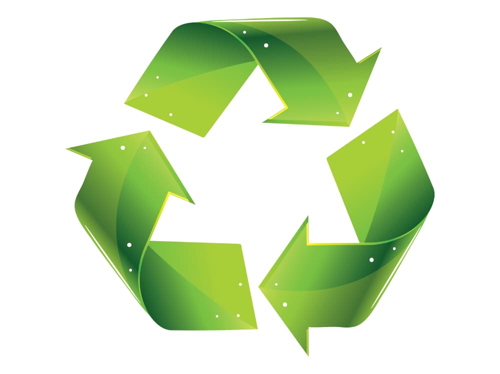 Ashprington proposed Climate & Ecological Emergency Declaration