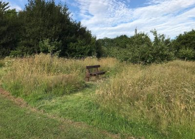 A memorial bench in Ash Meadow, Ashprington