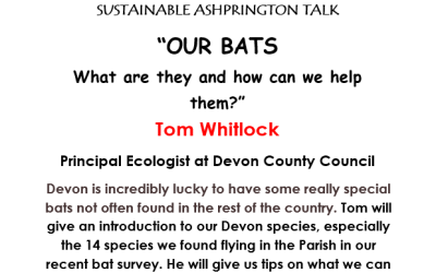 Opportunity to learn about our local bats on Thursday 9th November