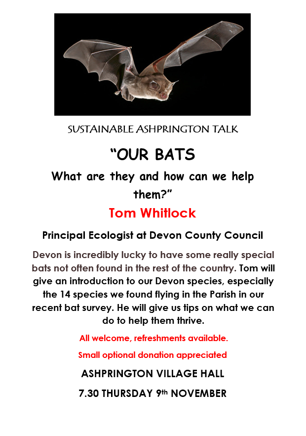 Opportunity to learn about our local bats on Thursday 9th November