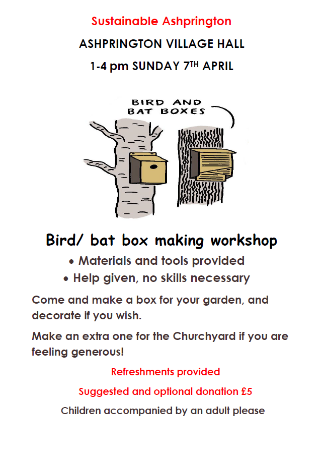 Sustainable Ashprington bird and bat box building workshop on 7th April