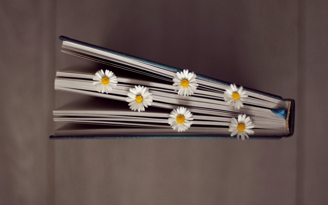 Community Connectors Diary Dates for May 2024